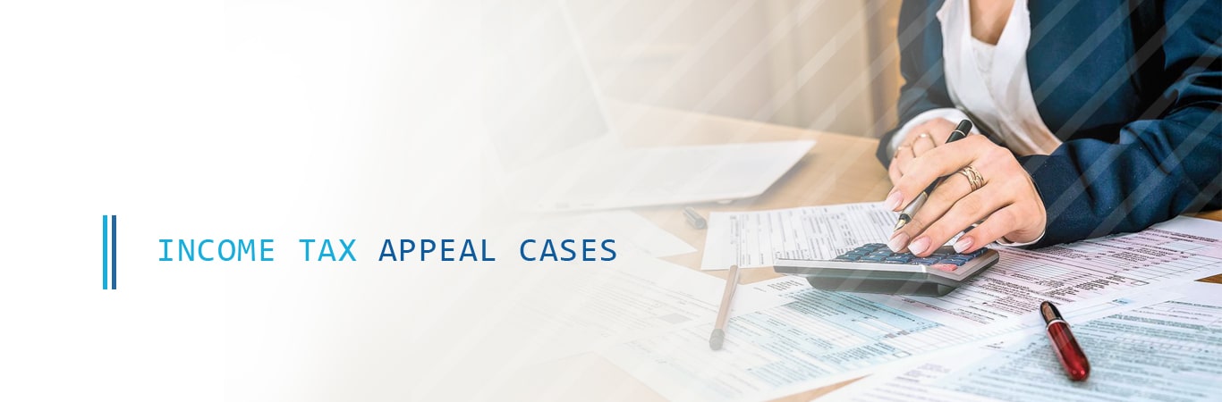 Income Tax Appeal Consultant
